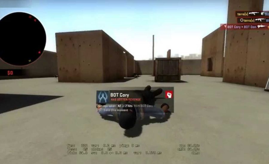 Steelseries Rival 100 - CS:GO Aim Test