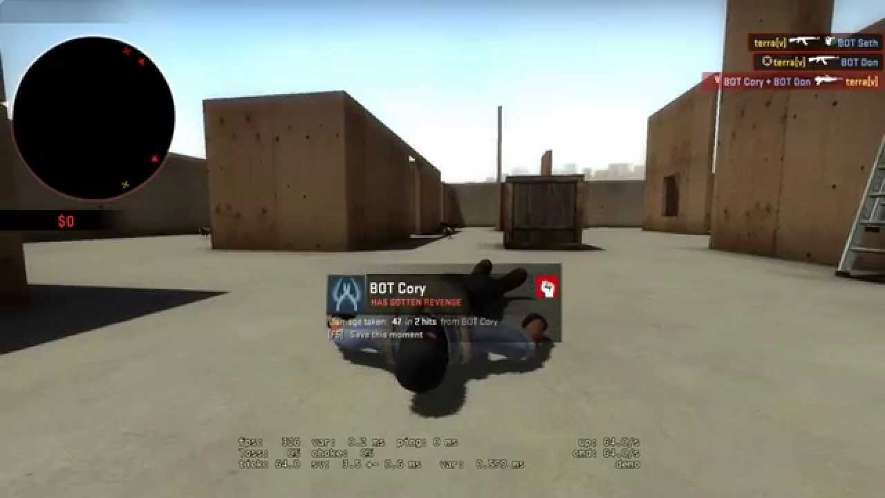 Steelseries Rival 100 - CS:GO Aim Test