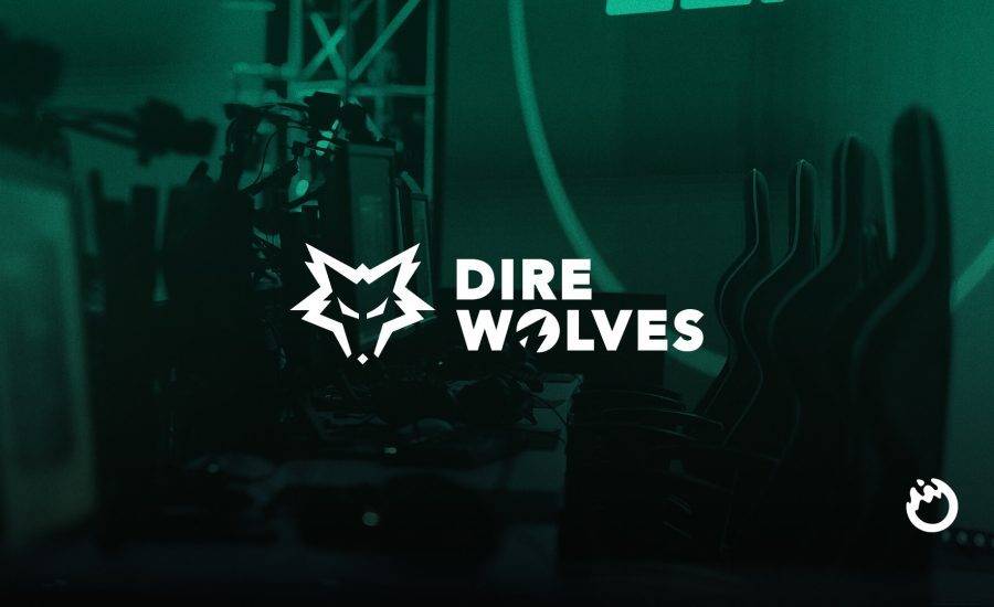 League of Legends – Dire Wolves Making Big Roster Changes