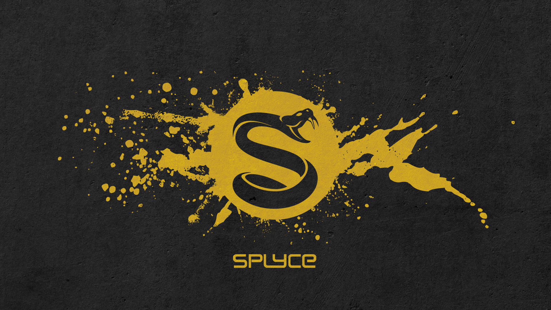 Splyce's dedication to the StarCraft II circuit